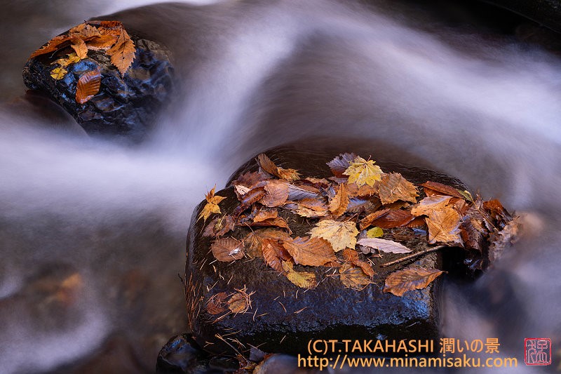 ../Images/7R251115 (117).jpg